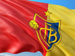 萨拉赫关键节点关键助攻，瑞士队带队取胜！